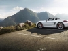 Porsche Boxster Spyder 5.jpg