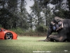 lamborghini-aventador-gets-adv1-wheels-and-elephant-photo-gallery_13