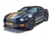 Ford Shelby GT-H 2