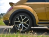 Volkswagen Beetle Dune 21