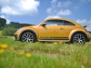 Volkswagen Beetle Dune 33