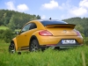 Volkswagen Beetle Dune 38