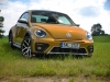 Volkswagen Beetle Dune 39