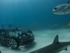 volkswagen-beetle-cabrio-shark-week-discovery-channel-04