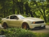 stanced-755-hp-ford-mustang-looks-cool-photo-gallery_2