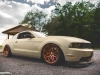 stanced-755-hp-ford-mustang-looks-cool-photo-gallery_5
