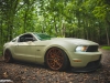 stanced-755-hp-ford-mustang-looks-cool-photo-gallery_6
