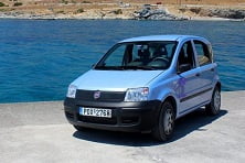 test-panda-rhodos-male