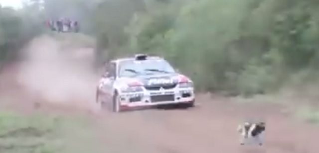 wrc psik