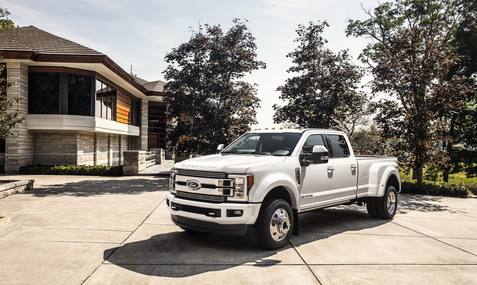 Ford F450 Limited 2