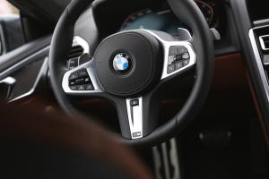 test-2019-bmw-m850i-xdrive-coupe- (48)