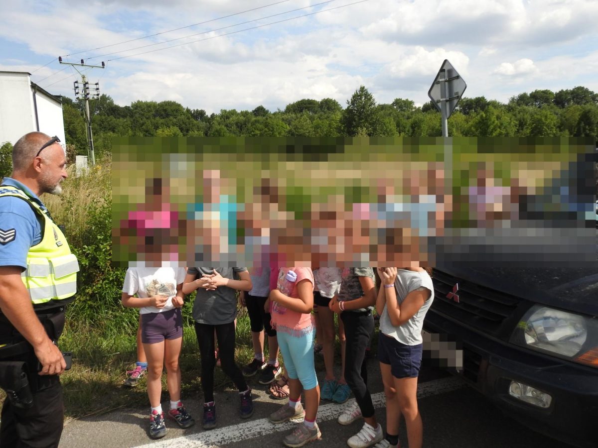 mitsubishi pajero prives (4)