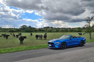 test-2020-ford-mustang-convertible-50-v8-10at- (5)