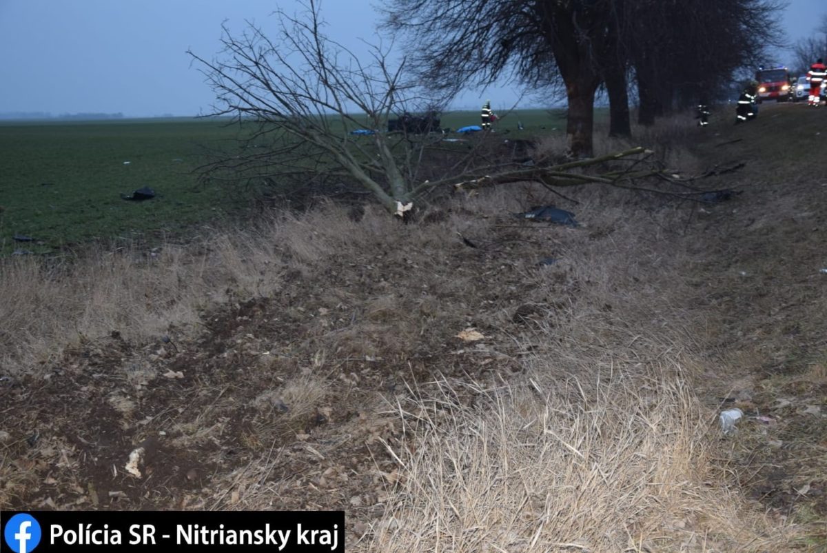 nehoda-slovensko-3