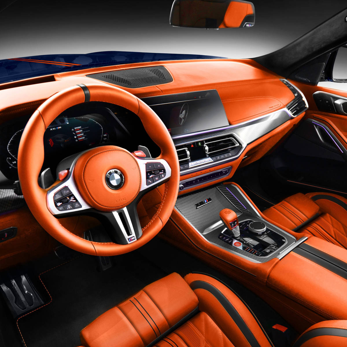 Carlex_Design-BMW_X6_M-tuning- (4)