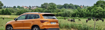 test-2022-skoda_karoq-20_tdi-110_kw-4x4-dsg- (33)