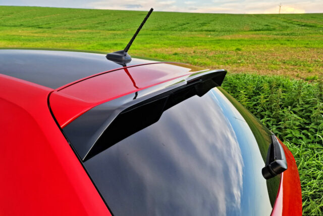 Test Volkswagen Polo GTI 2.0 TSI DSG (2022)