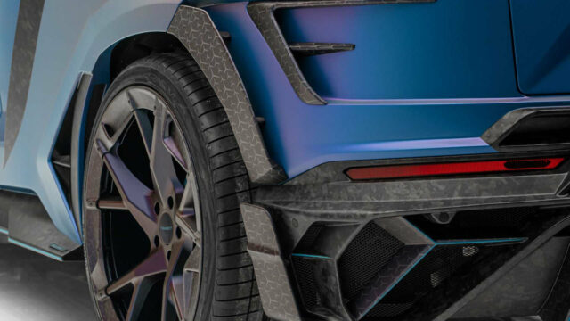 Mansory Venatus Coupe Evo C