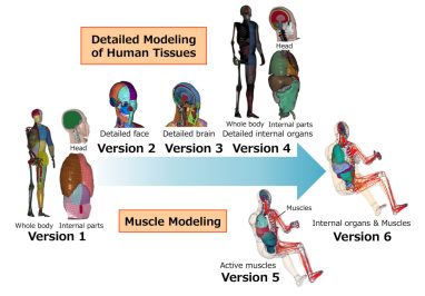 Detailní modelování lidských tkání