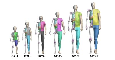 Různé modely chodců v rámci THUMS