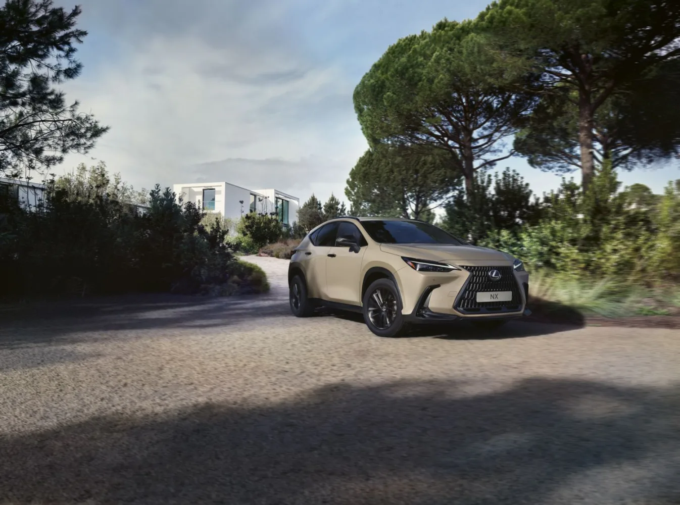 Lexus NX Overtrail | 2024