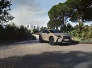 Lexus NX Overtrail | 2024