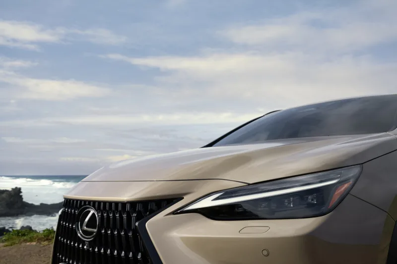 Lexus NX Overtrail | 2024