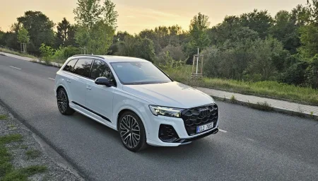 Test Audi Q7 60 TFSI e quattro tiptronic | plug-in hybrid | 2024