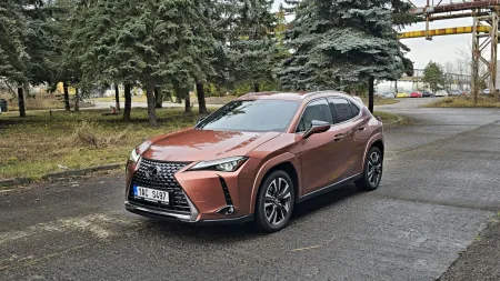 test-lexus-ux-300h-4x4-e-four-2024-8