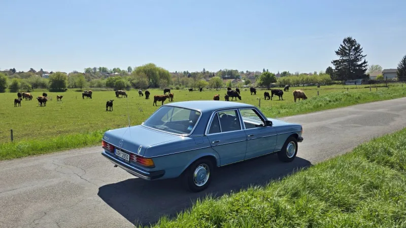 test-ojetiny-mercedes-benz-230-e-w123-1982-34
