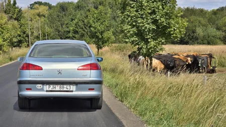 test-ojetiny-peugeot-607-22-16v-2001-5