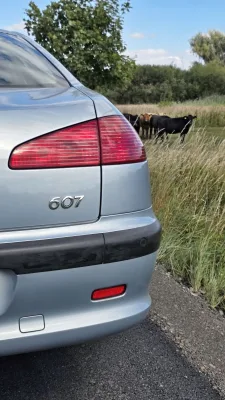test-ojetiny-peugeot-607-22-16v-2001-9