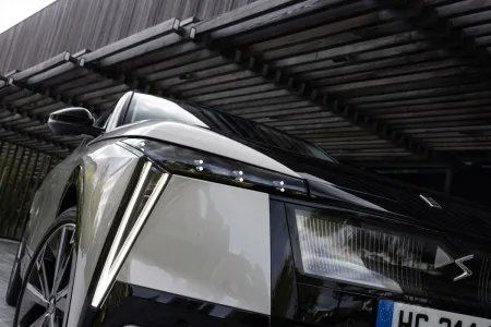ds-n8-5