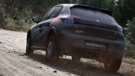 assetto-corsa-rally-11