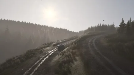 assetto-corsa-rally-16