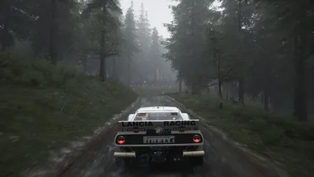 assetto-corsa-rally-21