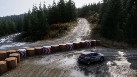 assetto-corsa-rally-27