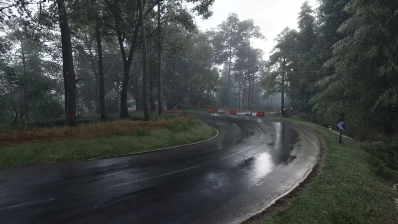 assetto-corsa-rally-30
