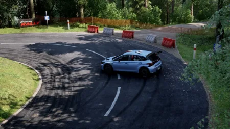 assetto-corsa-rally-36