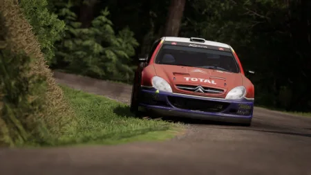 assetto-corsa-rally-4