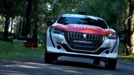 assetto-corsa-rally-7