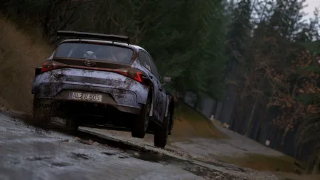 assetto-corsa-rally-9