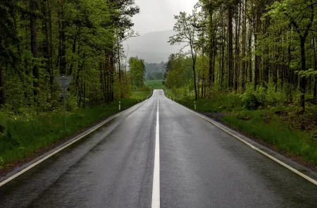 silnice-cesta-les-kocarova_alej-liberecky_kraj