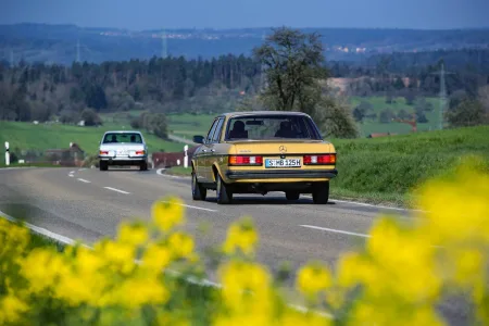 mercedes-benz-w123-5