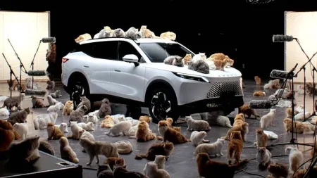 reklama-omoda-7-kocky