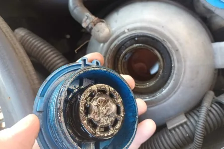 ojetina-voda-v-oleji