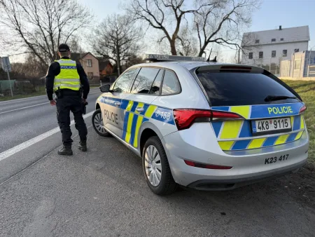 policie-cr-skoda-scala-policejni-kontrola