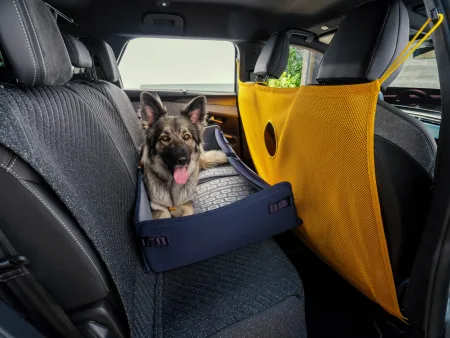 2026-peugeot-e-5008-dog-edition-koncept-12