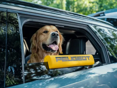 2026-peugeot-e-5008-dog-edition-koncept-13
