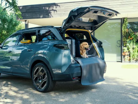 2026-peugeot-e-5008-dog-edition-koncept-8